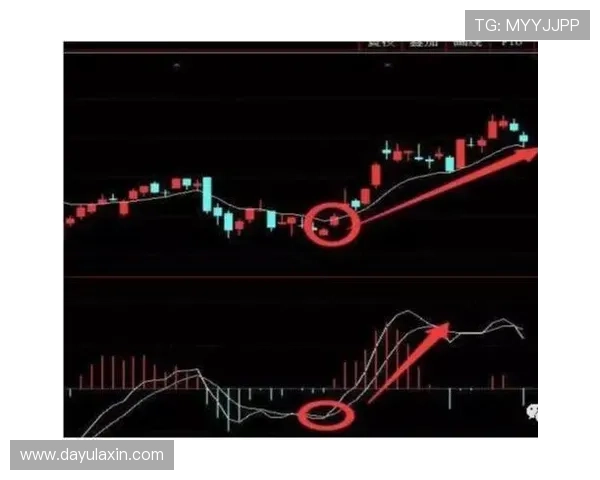 摩卡体育娱乐帮助新手快速入门体育竞猜技巧实现稳健盈利的实用指南
