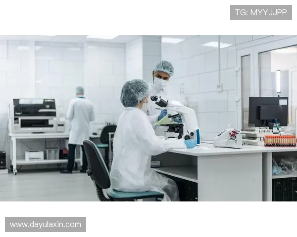 澳门凯旋门租赁的法律法规及注意事项，确保租赁行为合法合规